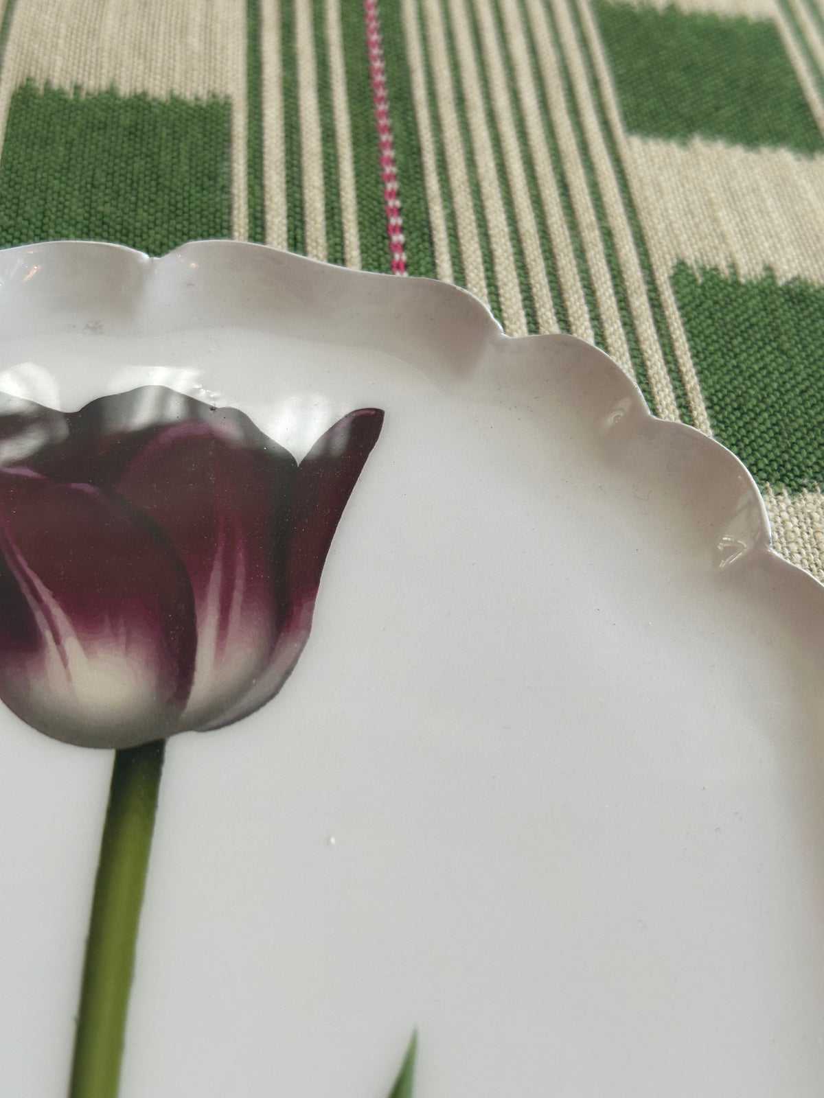 Tulipanbakke