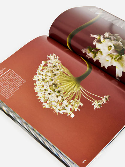 Kinfolk Magazine, The Friendship Edition